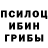 Псилоцибиновые грибы Magic Shrooms ARSLAN KGZ