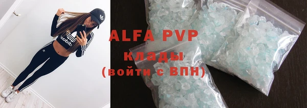 гидра Богородицк