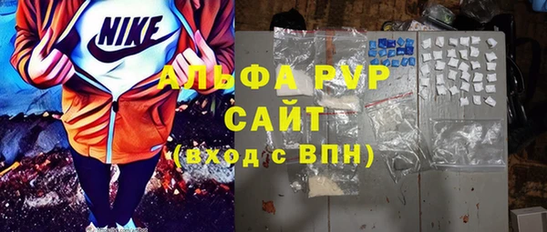гидра Богородицк