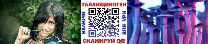 сайты даркнета какой сайт  сколько стоит  Полесск  Псилоцибиновые грибы ЛСД 
